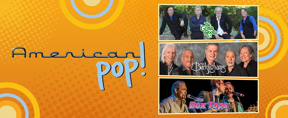 American Pop: The Grass Roots, The Buckinghams, & The Box Tops Info Page Header